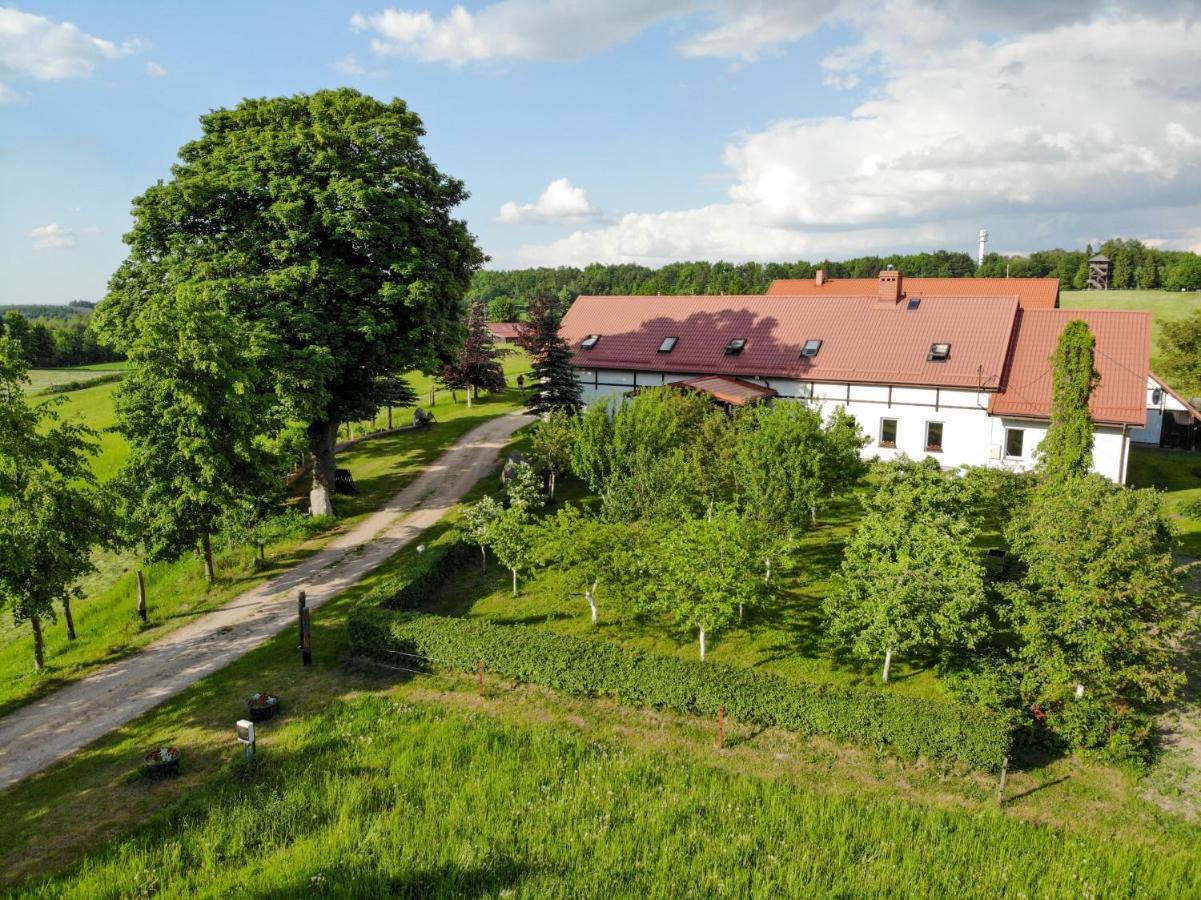 Villa Dylewianka Wysoka Wieś Exterior foto